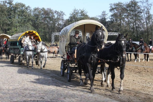 Hubertus w Boszkowie (zdjecia)