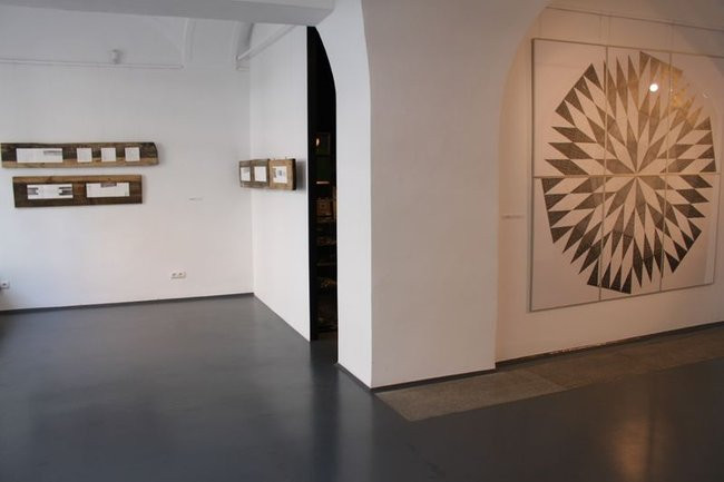 Mikrokosmos w zasięgu ręki (zdjęcia)