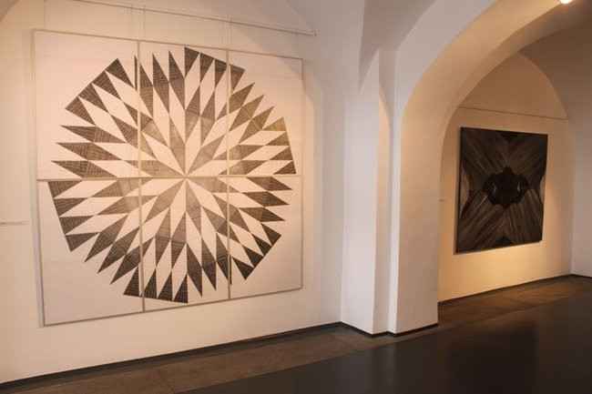 Mikrokosmos w zasięgu ręki (zdjęcia)