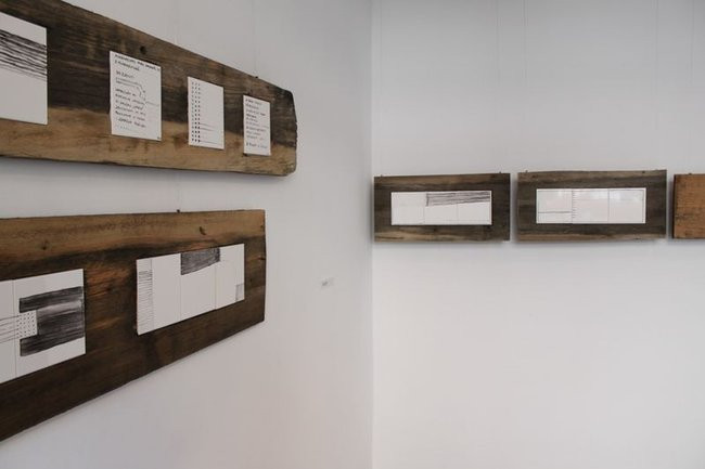 Mikrokosmos w zasięgu ręki (zdjęcia)