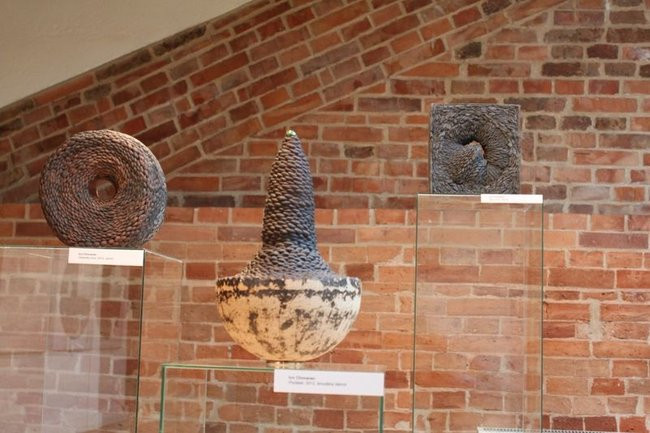 Mikrokosmos w zasięgu ręki (zdjęcia)