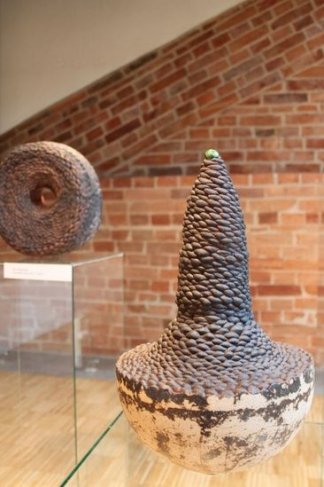 Mikrokosmos w zasięgu ręki (zdjęcia)