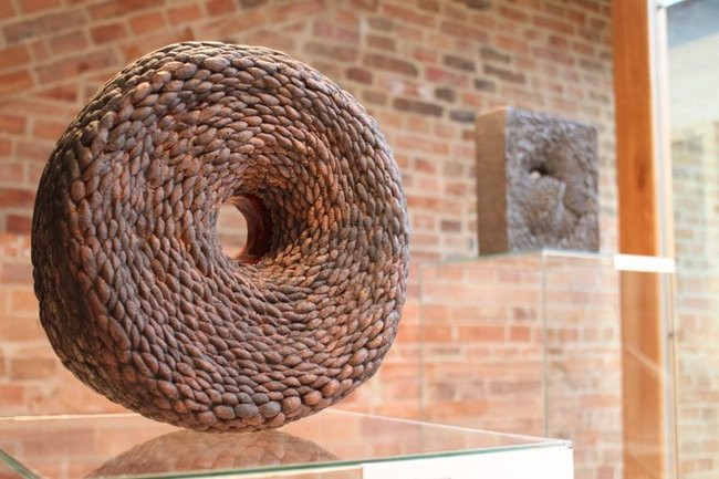 Mikrokosmos w zasięgu ręki (zdjęcia)