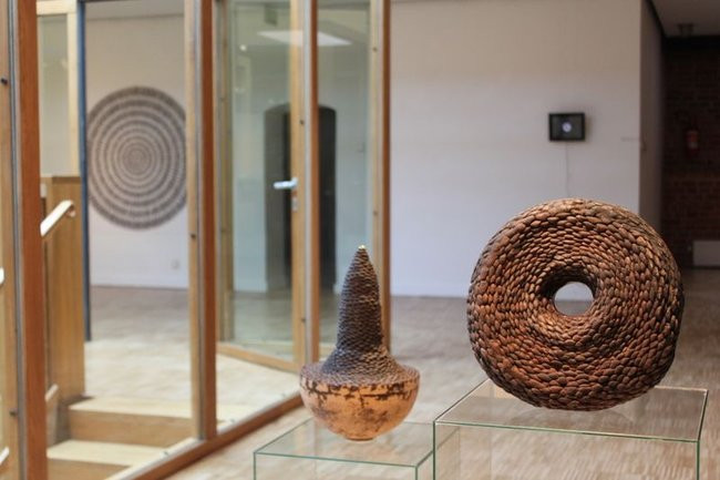 Mikrokosmos w zasięgu ręki (zdjęcia)