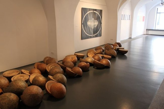 Mikrokosmos w zasięgu ręki (zdjęcia)