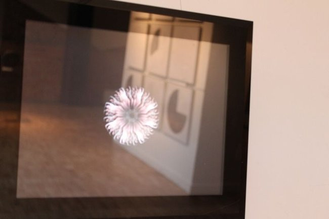 Mikrokosmos w zasięgu ręki (zdjęcia)