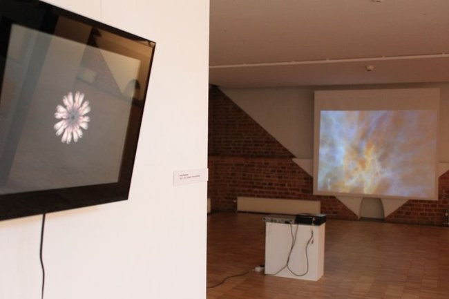 Mikrokosmos w zasięgu ręki (zdjęcia)