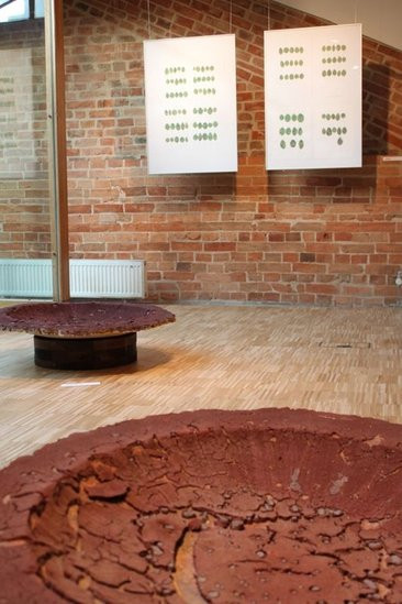 Mikrokosmos w zasięgu ręki (zdjęcia)