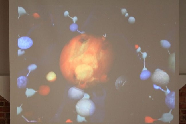 Mikrokosmos w zasięgu ręki (zdjęcia)