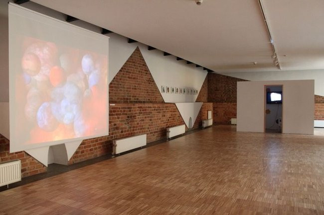 Mikrokosmos w zasięgu ręki (zdjęcia)