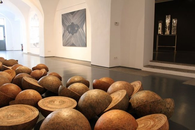 Mikrokosmos w zasięgu ręki (zdjęcia)