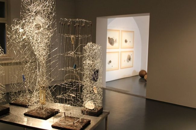 Mikrokosmos w zasięgu ręki (zdjęcia)