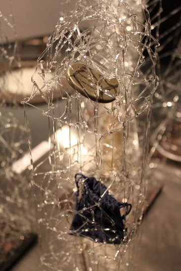 Mikrokosmos w zasięgu ręki (zdjęcia)