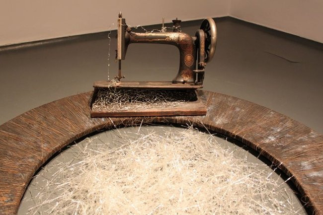 Mikrokosmos w zasięgu ręki (zdjęcia)