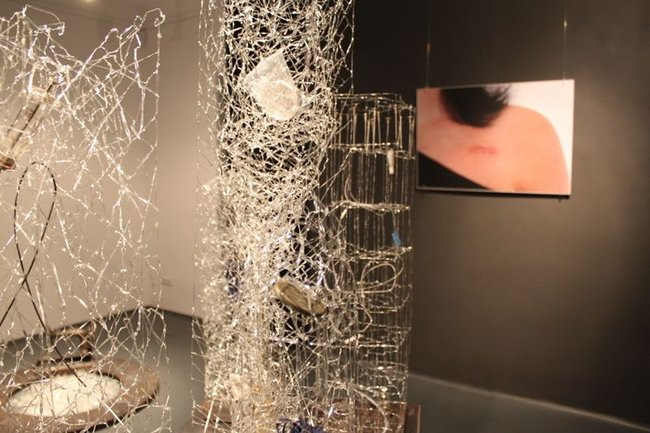 Mikrokosmos w zasięgu ręki (zdjęcia)