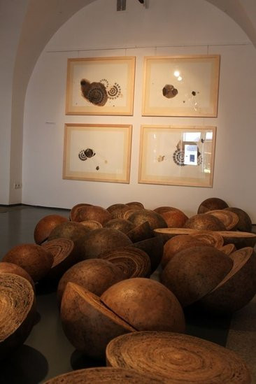 Mikrokosmos w zasięgu ręki (zdjęcia)