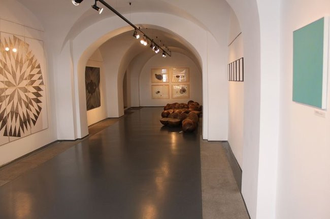 Mikrokosmos w zasięgu ręki (zdjęcia)