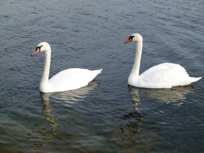 Pierwszy i już udany (zdjęcia)