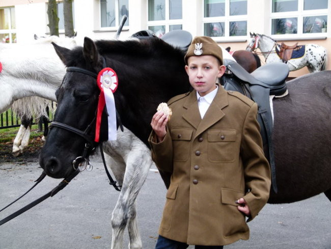 Kawaleria na drogach gminy Włoszakowice (zdjęcia)