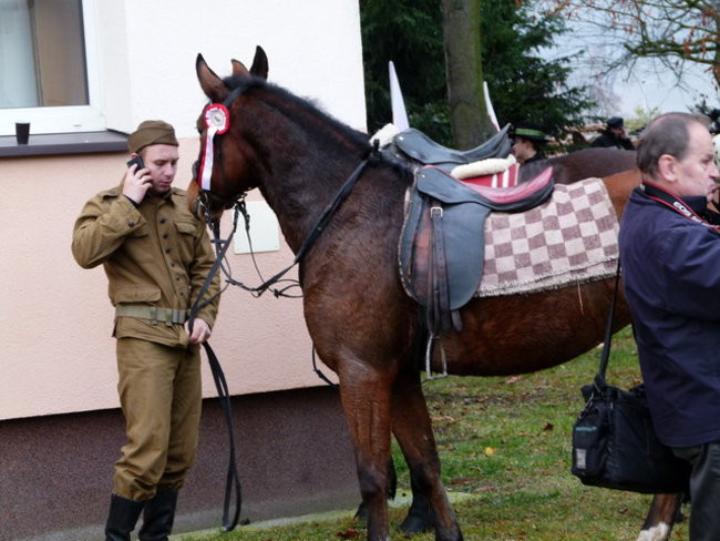 Kawaleria na drogach gminy Włoszakowice (zdjęcia)