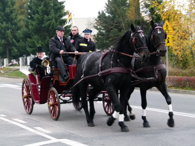 Kawaleria na drogach gminy Włoszakowice (zdjęcia)