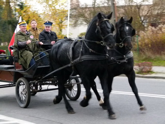 Kawaleria na drogach gminy Włoszakowice (zdjęcia)