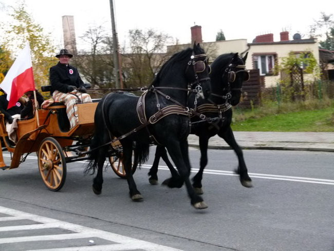 Kawaleria na drogach gminy Włoszakowice (zdjęcia)