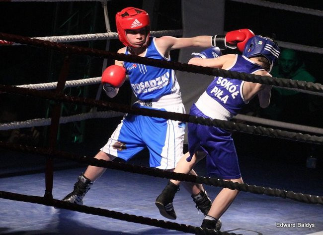 Po gali MMA - to była wojna! (zdjęcia)