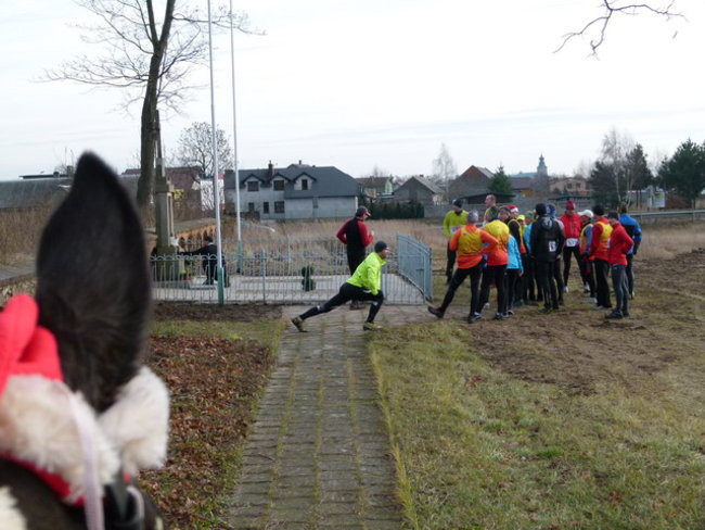 Wigilijne 42 kilometry (zdjęcia)