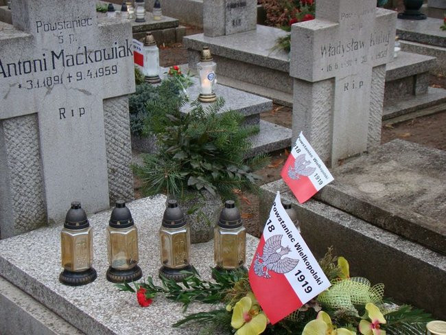 Rocznica wybuchu Powstania Wielkopolskiego (zdjęcia)