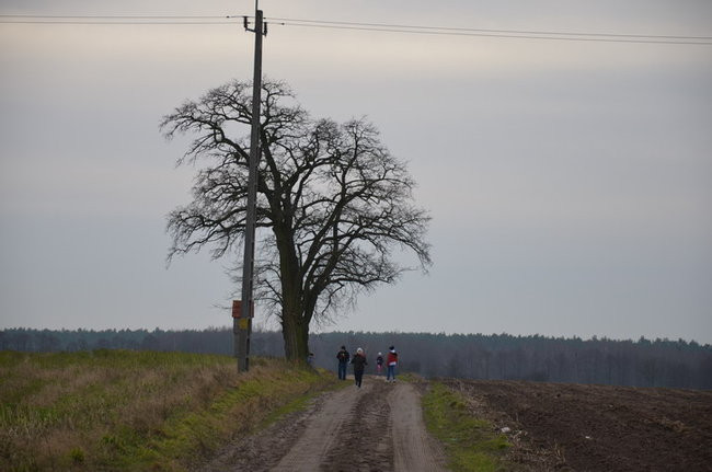 Szyfrowanie i bieganie w 95 rocznicę (zdjęcia)