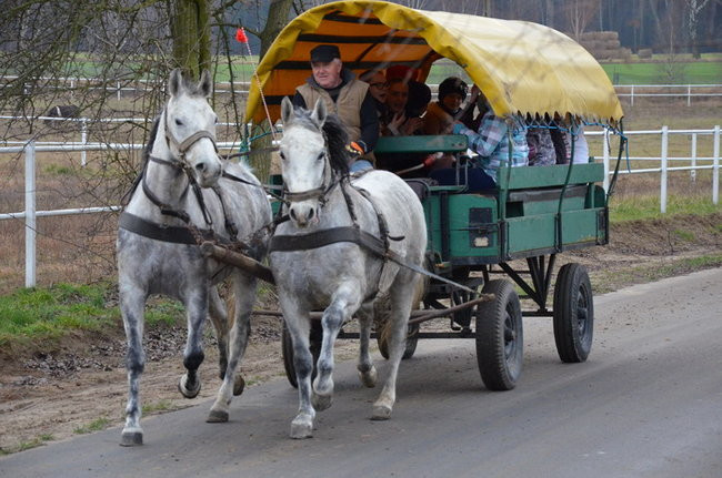 Szyfrowanie i bieganie w 95 rocznicę (zdjęcia)