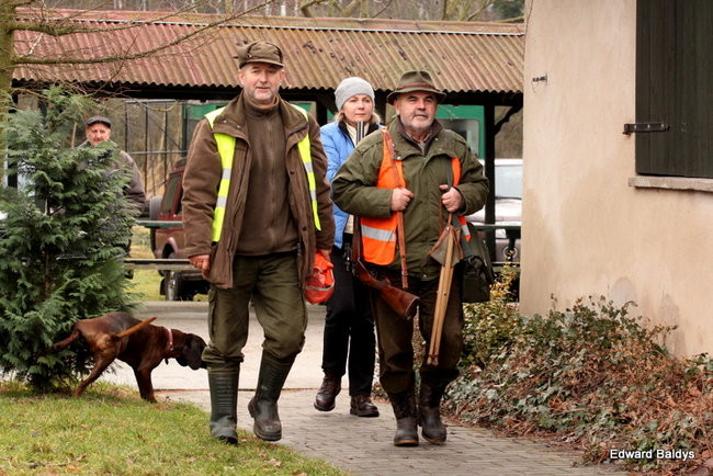 Kilkudziesięciu myśliwych na polowaniu (zdjęcia)