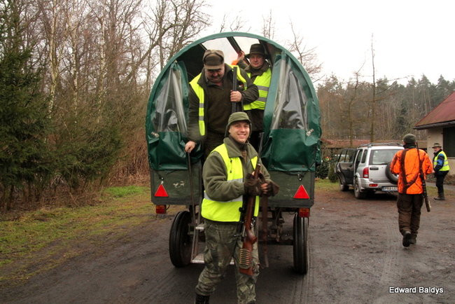 Kilkudziesięciu myśliwych na polowaniu (zdjęcia)