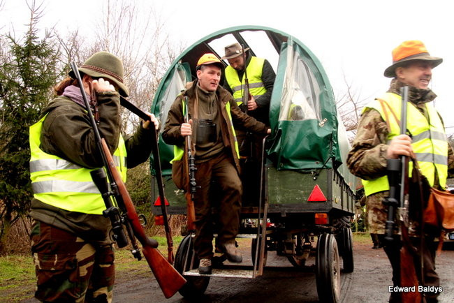 Kilkudziesięciu myśliwych na polowaniu (zdjęcia)