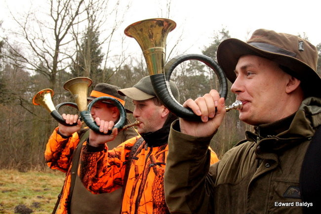 Kilkudziesięciu myśliwych na polowaniu (zdjęcia)