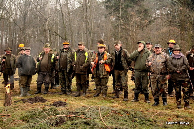 Kilkudziesięciu myśliwych na polowaniu (zdjęcia)