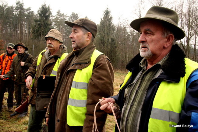 Kilkudziesięciu myśliwych na polowaniu (zdjęcia)