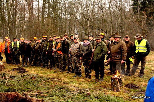 Kilkudziesięciu myśliwych na polowaniu (zdjęcia)