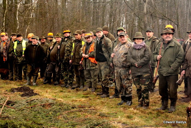 Kilkudziesięciu myśliwych na polowaniu (zdjęcia)
