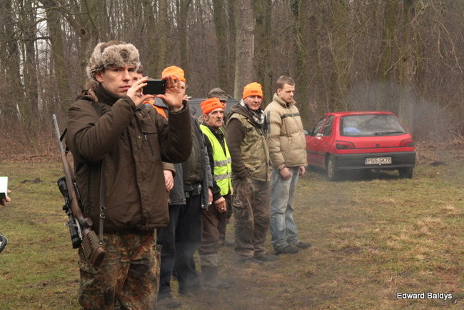 Kilkudziesięciu myśliwych na polowaniu (zdjęcia)