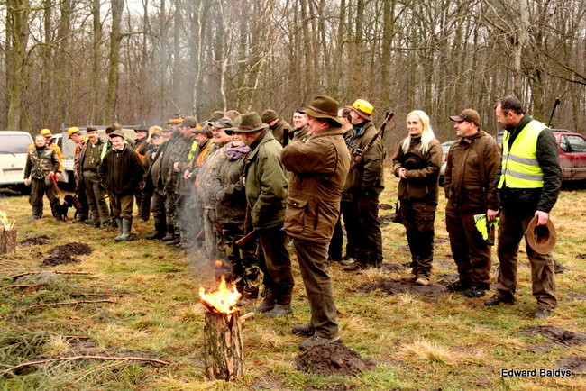 Kilkudziesięciu myśliwych na polowaniu (zdjęcia)