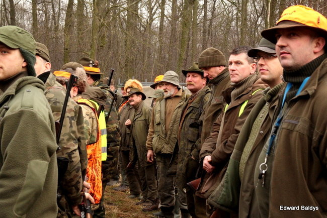 Kilkudziesięciu myśliwych na polowaniu (zdjęcia)