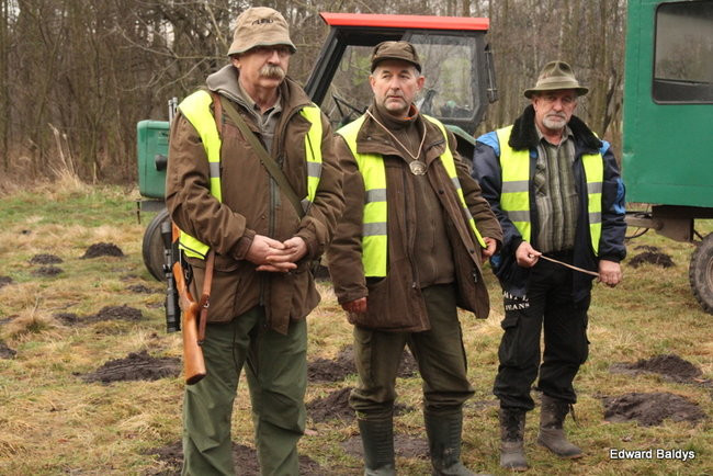 Kilkudziesięciu myśliwych na polowaniu (zdjęcia)