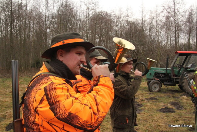Kilkudziesięciu myśliwych na polowaniu (zdjęcia)