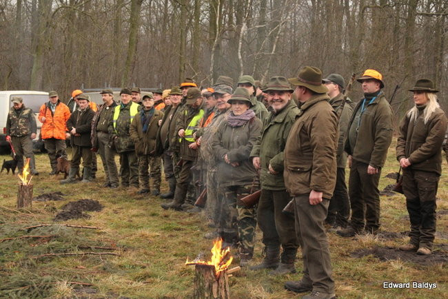 Kilkudziesięciu myśliwych na polowaniu (zdjęcia)
