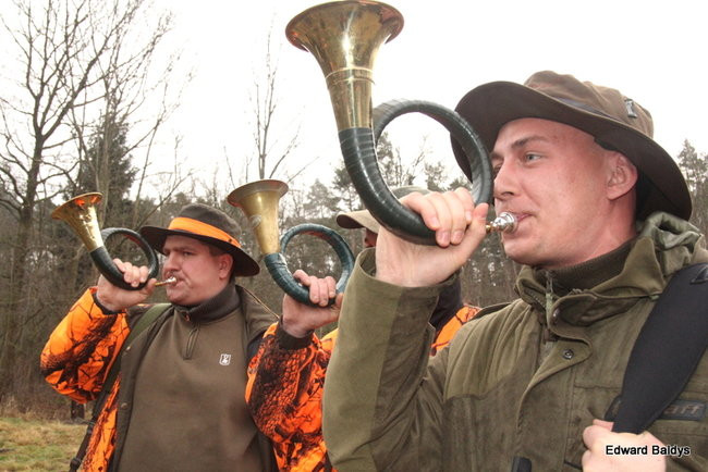 Kilkudziesięciu myśliwych na polowaniu (zdjęcia)