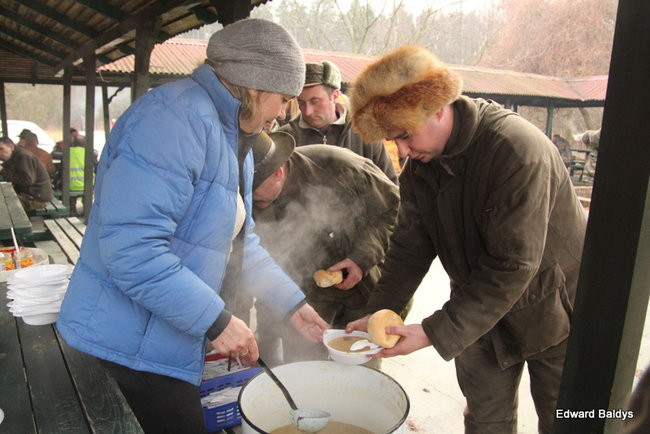 Kilkudziesięciu myśliwych na polowaniu (zdjęcia)
