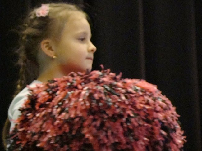 W gminie Krzemieniewo zebrano ponad 12 tysięcy (zdjęcia)