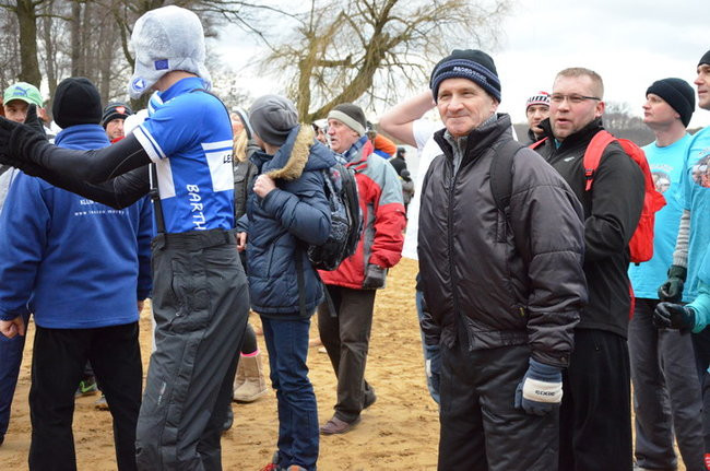 Czy mors zastąpi byka na plastronie? (zdjęcia)